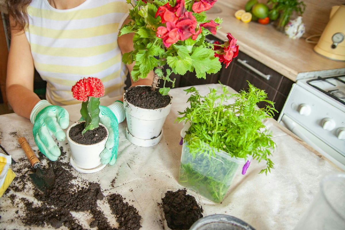 Ecco come l'ortolano esperto fa crescere gli ortaggi anche quando fa molto freddo