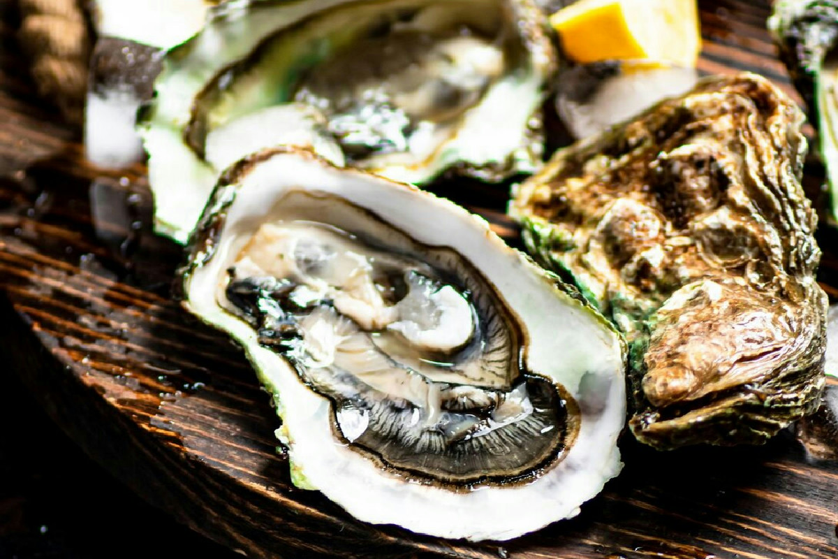 Perché il Mediterraneo rischia di dire addio a ostriche e cozze entro il 2050?