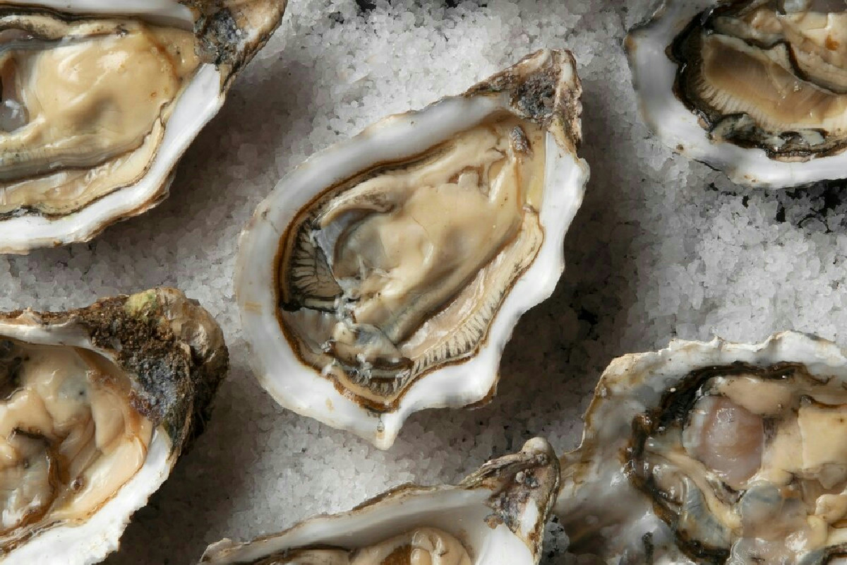 Perché il Mediterraneo rischia di dire addio a ostriche e cozze entro il 2050?